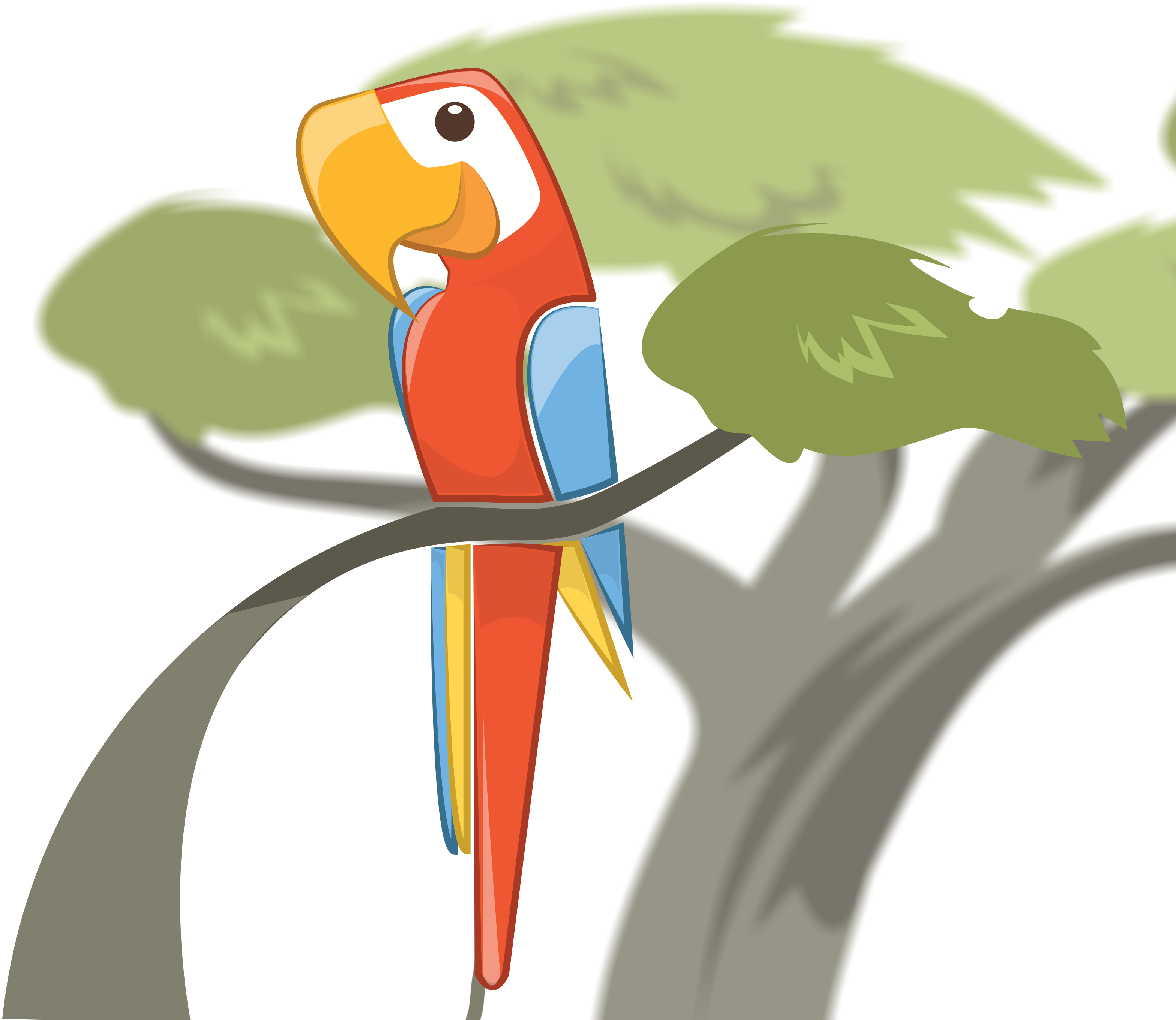 Macaw Software Logo